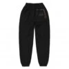 Aries Premium Temple Sweatpant (Black) -Streetwear Store aries premium temple sweatpant black ftar30000 blk 0000 cat