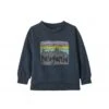Baby Patagonia Lightweight Crew Neck Sweatshirt (Fitz Roy Skies: New Navy) 1 Baby Patagonia Lightweight Crew Neck Sweatshirt (Fitz Roy Skies: New Navy) -Streetwear Store baby patagonia lightweight crew neck sweatshirt fitz roy skies new navy 60975 fsne cat
