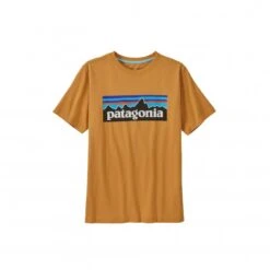 Kids' Patagonia Regenerative Organic Certified Cotton P-6 Logo T-Shirt (Dried Mango)