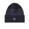 Polar Skate Co. Stripe Merino Beanie (Navy/Purple) -Streetwear Store polar skate co stripe merino beanie navy purple psc w22 50 0000 cat