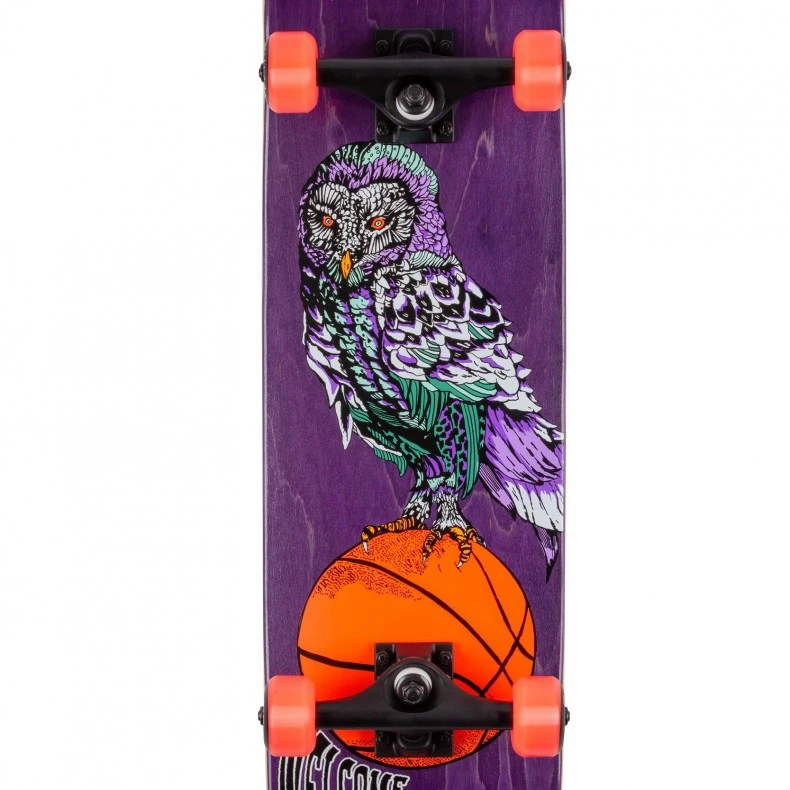 Welcome Shooter Shooter Bunyip Complete Skateboard 8.0" (Purple Stain) 4 Welcome Shooter Shooter Bunyip Complete Skateboard 8.0" (Purple Stain) - Image 2